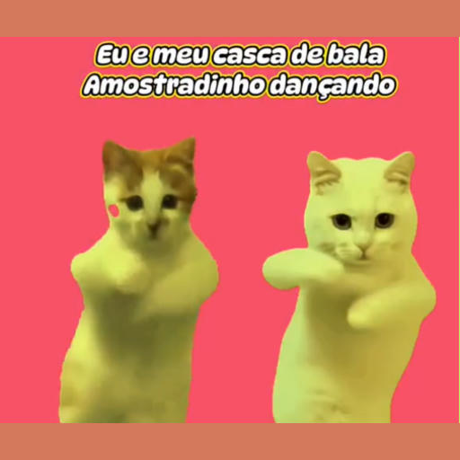 Bora Bill